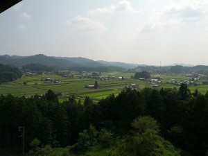 写真①