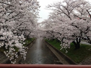 画像①