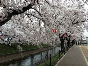 画像③