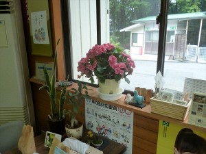 P1000663_R