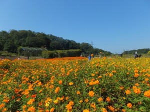 写真①