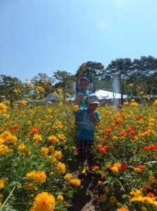 写真②