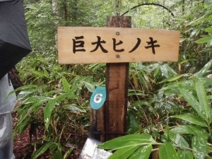 写真4