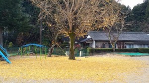20151113_073636
