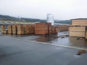 CIMG1450