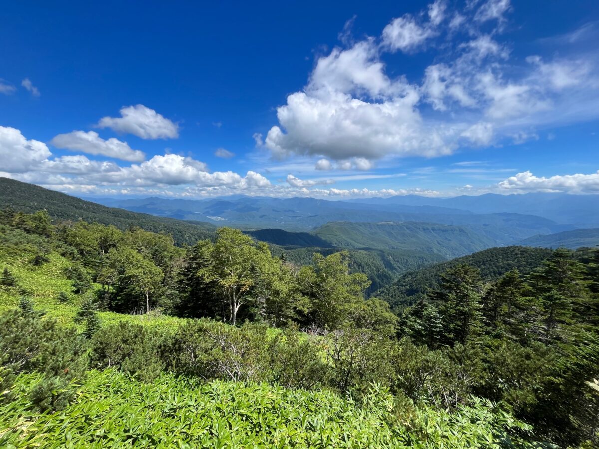 久しぶりに御嶽山へ |本社スタッフブログ|株式会社広和木材の本社スタッフのブログ。